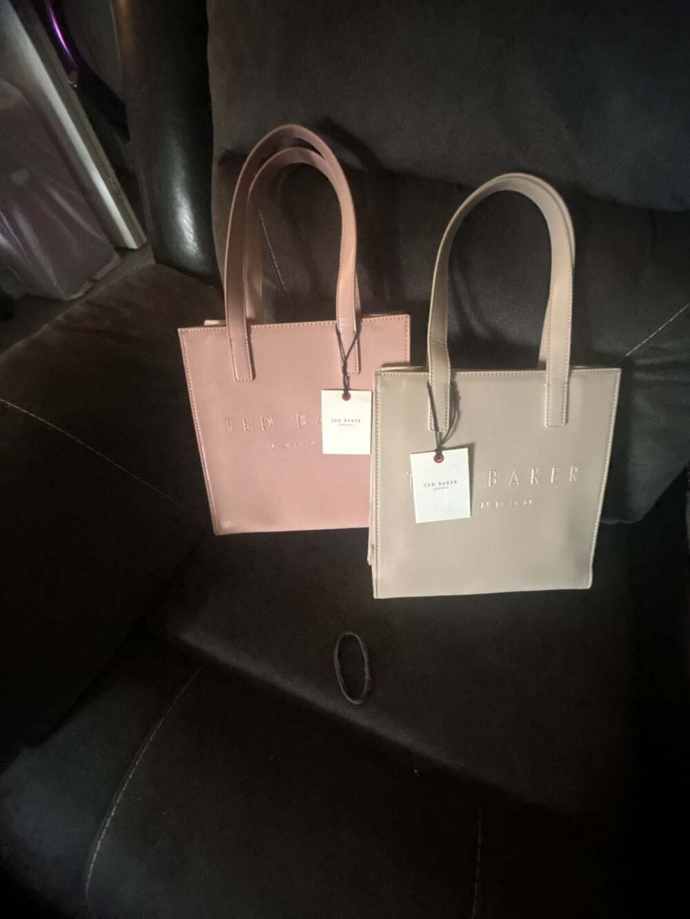 Ted Baker London Icon Small Tote Bag Set of 2 (Pink and Beige)